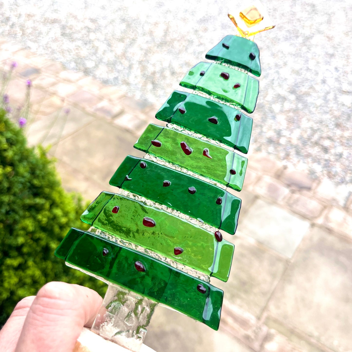 Christmas Trees