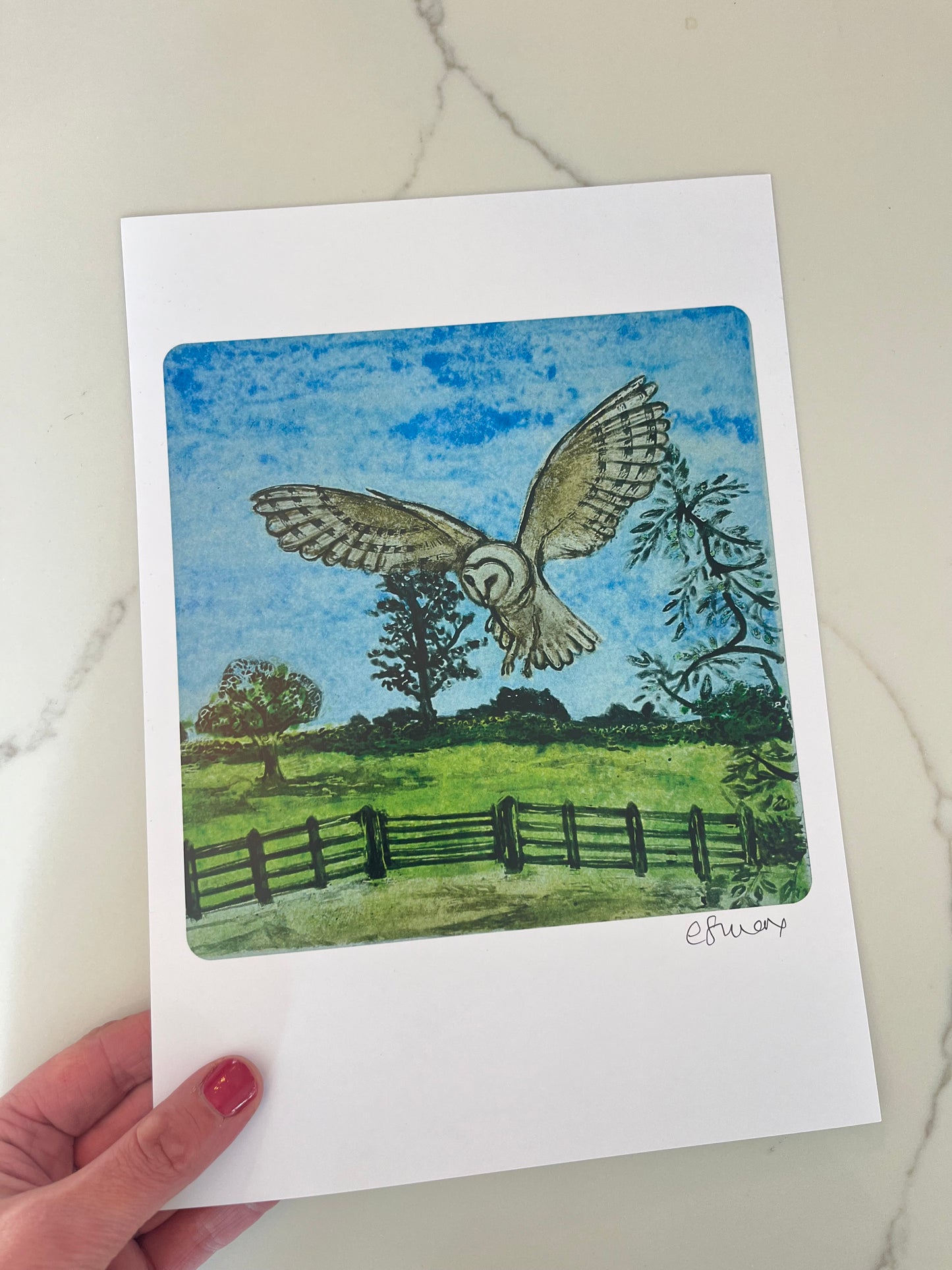 The Field Across The Way